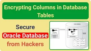 Encrypt Oracle Database Tables to Protect Data from Hackers - Transparent Data Encryption