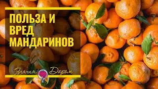 ИНТЕРЕСНОЕ О МАНДАРИНАХ. ЧЕМ ПОЛЕЗНЫ И ВРЕДНЫ МАНДАРИНЫ?