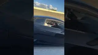 Hellcat Vs Lambo huracan
