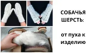 СОБАЧЬЯ ШЕРСТЬ: ОТ ПУХА К ИЗДЕЛИЮ // прядение шерсти // аляскинский маламут