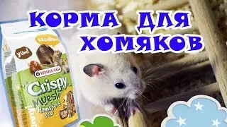 Корма для хомяков | Какой корм любит Винтик? ♥