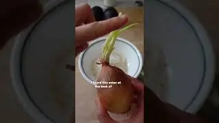 How to use up cabbage 🥬 
