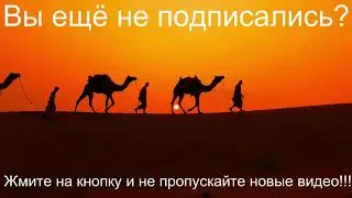Случай в парикмахерской