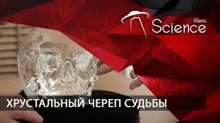 ХРУСТАЛЬНЫЙ ЧЕРЕП СУДЬБЫ | Документальный фильм