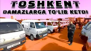 DAMAZ - LABO NARXLARI TOSHKENT SERGELI 11-fevral, 2024 #BEKMIRZAUSAROV