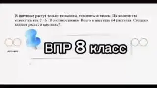 Текстовая задача
