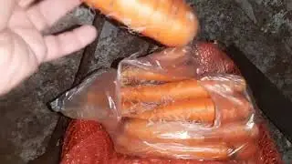 Как и где хранить морковь зимой, мой способ хранения моркови.