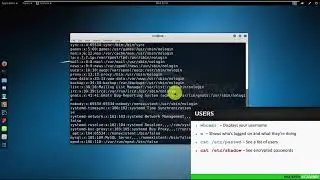 006 Управление пользователями и группами Kali Linux | Кали Линукс
