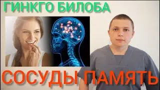 ГИНКГО БИЛОБА l МОЗГ КАК В 25 l СОСУДЫ И ПАМЯТЬ l Ginkgo Biloba
