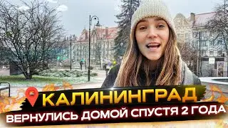 Вернулись в Калининград спустя 2 года. Гданьск. На автобусе в Россию