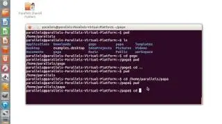 The cd Command in Linux