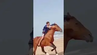 Best horse riding on the beach | Beautiful horses #horse #horselover #horses