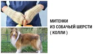 МИТЕНКИ  ИЗ  СОБАЧЬЕЙ  ШЕРСТИ // КОЛЛИ // fingerless mittens