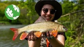 Protecting Minnesota's Native Rough Fish