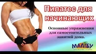 Пилатес для начинающих