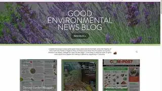Wix Wordpress Blog Import