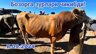 Карши Карвон мол бозори нархлари 8.09.2024