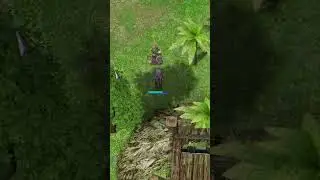 Magic Ninja - Ragnarok Online