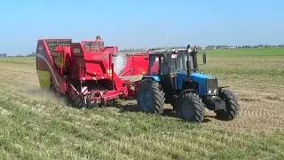 Уборка картофеля 2021 в СПК 
