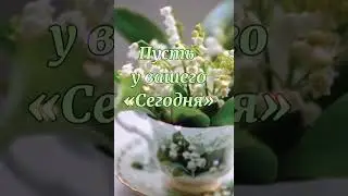 Чудесного дня и отличного настроения!
