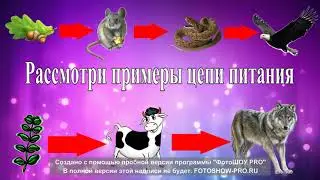 Видеоурок №3  