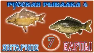 РР4 ЯНТАРНОЕ КАРПЫ Ч.7 / РУССКАЯ РЫБАЛКА 4 КАРПЫ Ч.7 / RUSSIAN FISHING 4 AMBER LAKE CARP PT.7