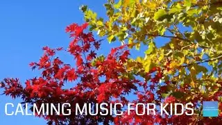 Quiet Classroom Music For Children - Fall Leaves, Calming Music For Kids, reading music for students