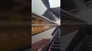 เล่นเพี้ยนๆ #piano #music #pianocover