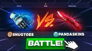 WE TRIED SOME OF THE BIGGEST CASES IN BATTLES?! (PANDASKINS)
