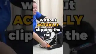 5 Tips To Make Dog Nail Trimming EASIER!