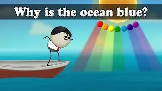 Why is the ocean blue? | #aumsum #kids #science #education #children