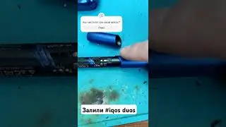ремонт залитого 
