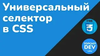 Универсальный селектор в CSS || CSS Universal Selector || Курс CSS от А до Я