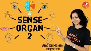 Sense Organs L2 | Learn About Five Senses | Class 10 ICSE Biology (2020) @VedantuClass9_10_11