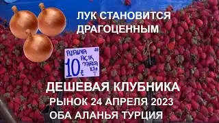 ТУРЦИЯ РЫНОК В ОБА АЛАНЬЯ ЦЕНЫ НА ФРУКТЫ 24 АПРЕЛЯ 2023 БАНАНЫ ДЕШЕВЛЕ ЛУКА И МОРКОВКИ