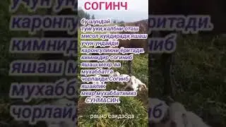 23 августа 2024 г.
