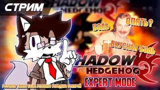 Эксперт Мод в Shadow The Hedgehog [Solareyn VTube]