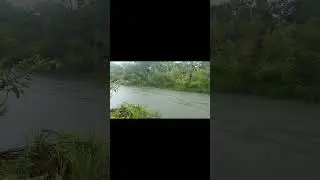 Застал в пути 