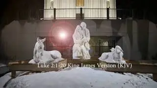 ✨The Christmas Story | Birth Of Jesus Christ | Bible Story Narrated by Michele Hartranft✨