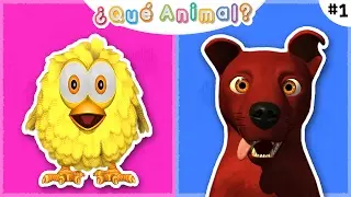 Qué Animal #1 | A Jugar