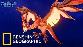 IF GENSHIN HAS A WILDLIFE DOCUMENTARY! (RED VULTURE) | Genshin Impact