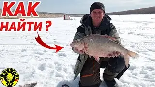 Как найти леща , этот метод работает.Зимняя рыбалка на комбайны 2022.