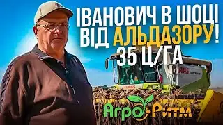 АЛЬДАЗОР 35Ц/ГА! ІВАНОВИЧ В ШОЦІ! ВПЕРШЕ ТАКИЙ УРОЖАЙ НА БАГАТОМУ ДОСВІДІ!