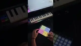 Progressive House //Live Looping (Ableton & Novation Launchpad)  #shorts  #musicproducer