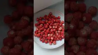 Дары леса!!! Земляника!!! Травы!!! Прогулялась по лесу!!!