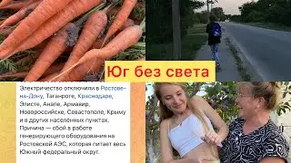 4️⃣1️⃣6️⃣ Выдернула морковь 🥕 Юг без света 😏 жара +45