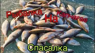 КЛАССНАЯ РЫБАЛКА НА ВОБЛУ , СПАСАЛКА , РЫБАЛКА НА КАПЧАГАЕ !!!!!