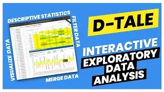 How to quickly explore data in Python using the D-Tale library