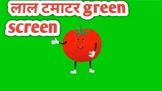 lal tamater green screen | Tomato Green Screen Video 