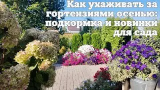 🍀💐🍀КАК УХАЖИВАТЬ ЗА ГОРТЕНЗИЯМИ ОСЕНЬЮ🍁: ПОДКОРМКА И НОВИНКИ ДЛЯ САДА МЕЧТЫ.🌺🌸🌺